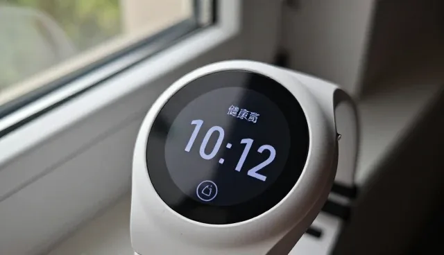康复指导服务选型中的适用条件考量